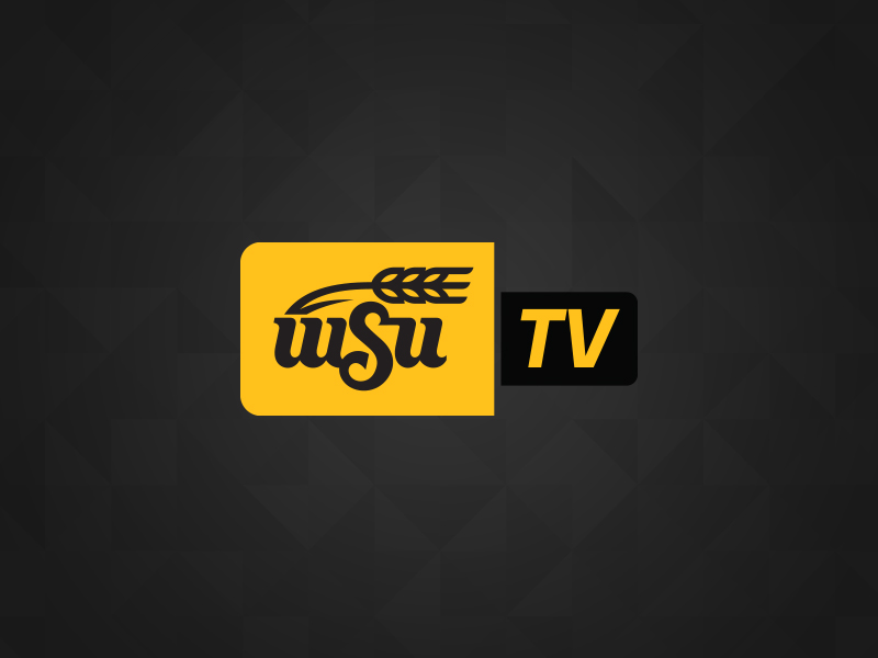 WSUTV logo
