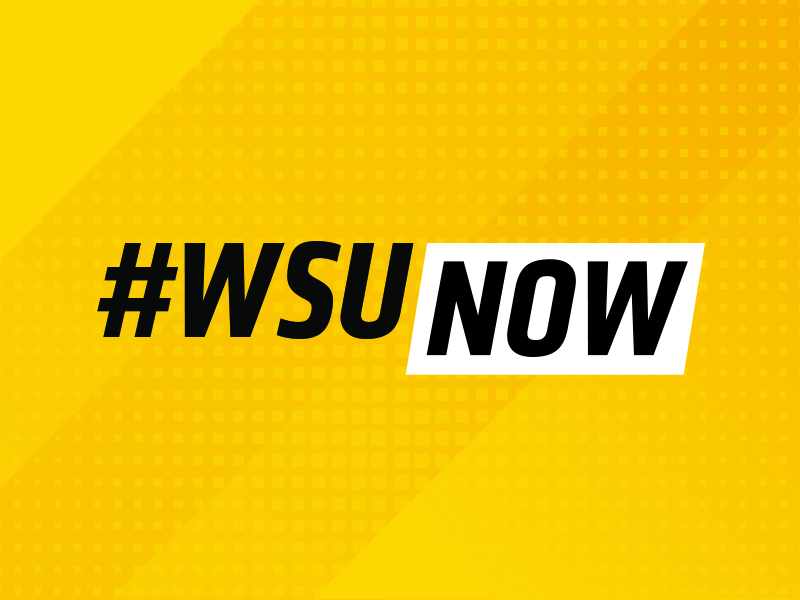 WSUNOW graphic