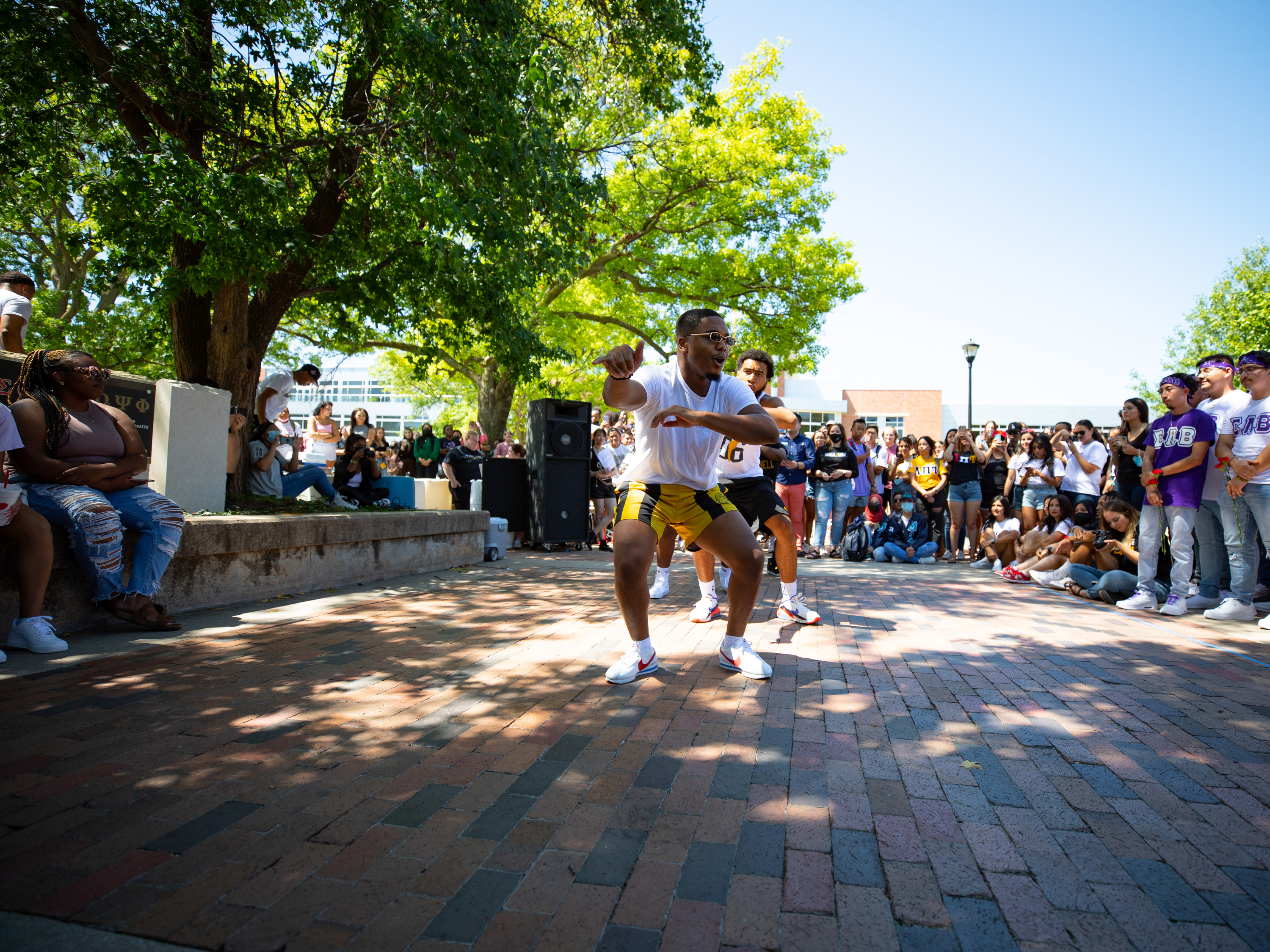 WSU Yard Show