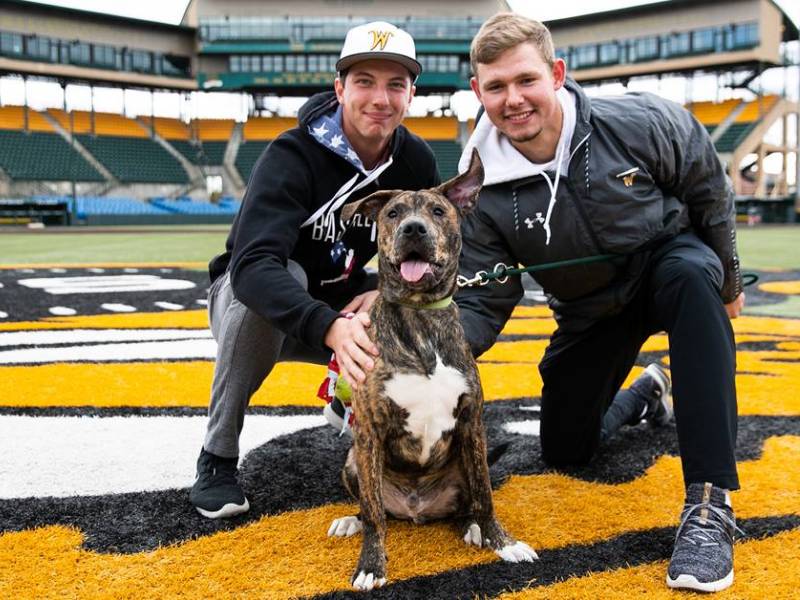 WSU Baseball players pose with a dog