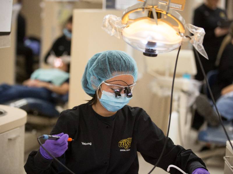 Dental Hygiene Clinic Student