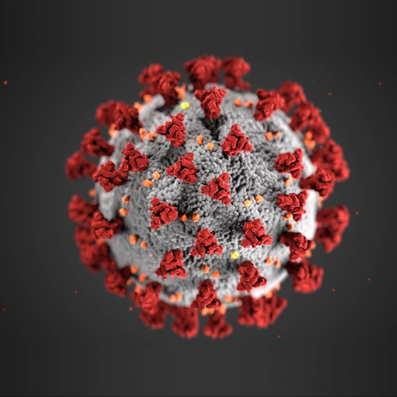 coronavirus illustration