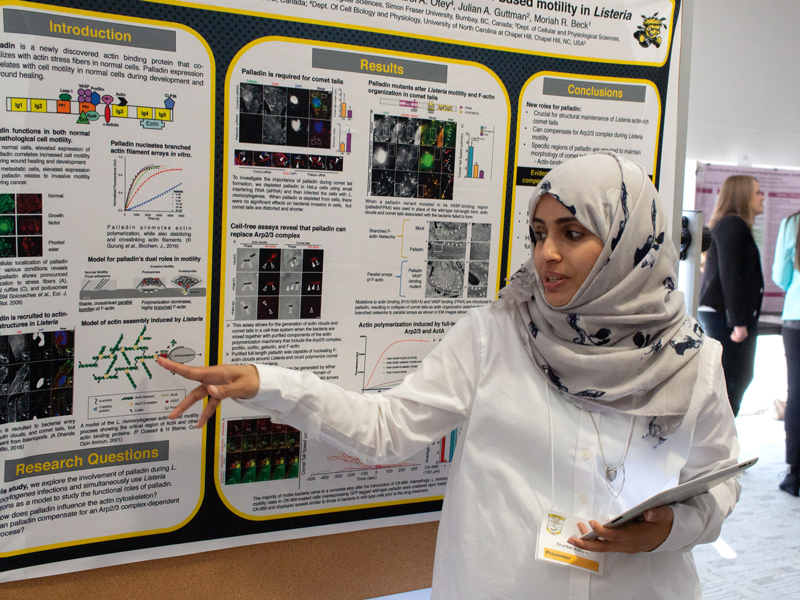 Research and Scholarship image