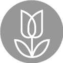 Flower icon
