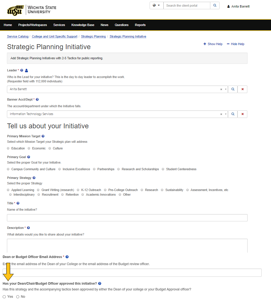 Visual demonstrating the Initiative form