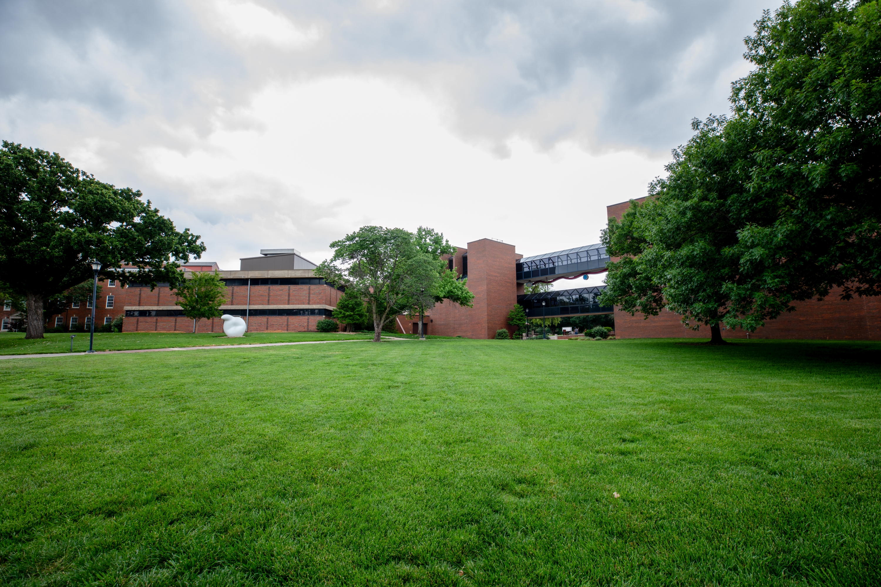 Grass outside of McKnight to the North