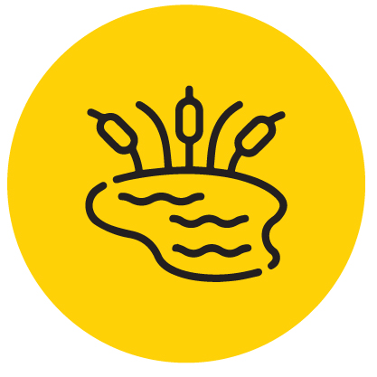 black icon of pond with yellow background