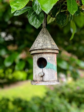 Bird Feeder