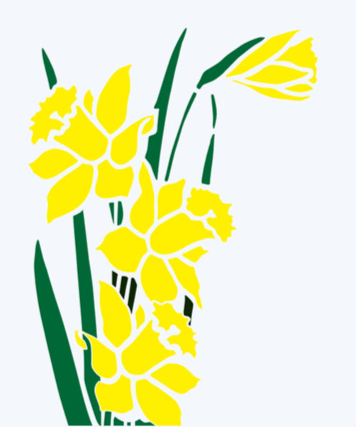 Winter Landscaping and Gardening