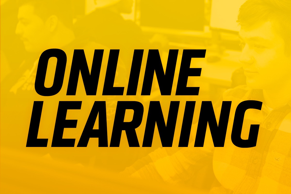 Online Learning