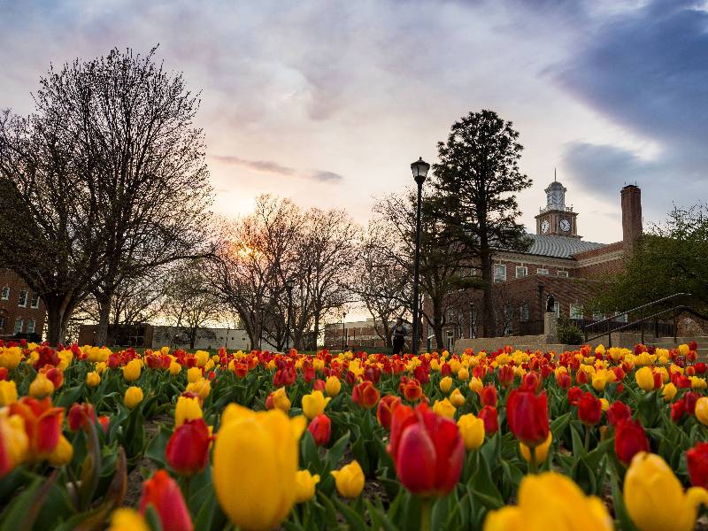 Wichita Campus