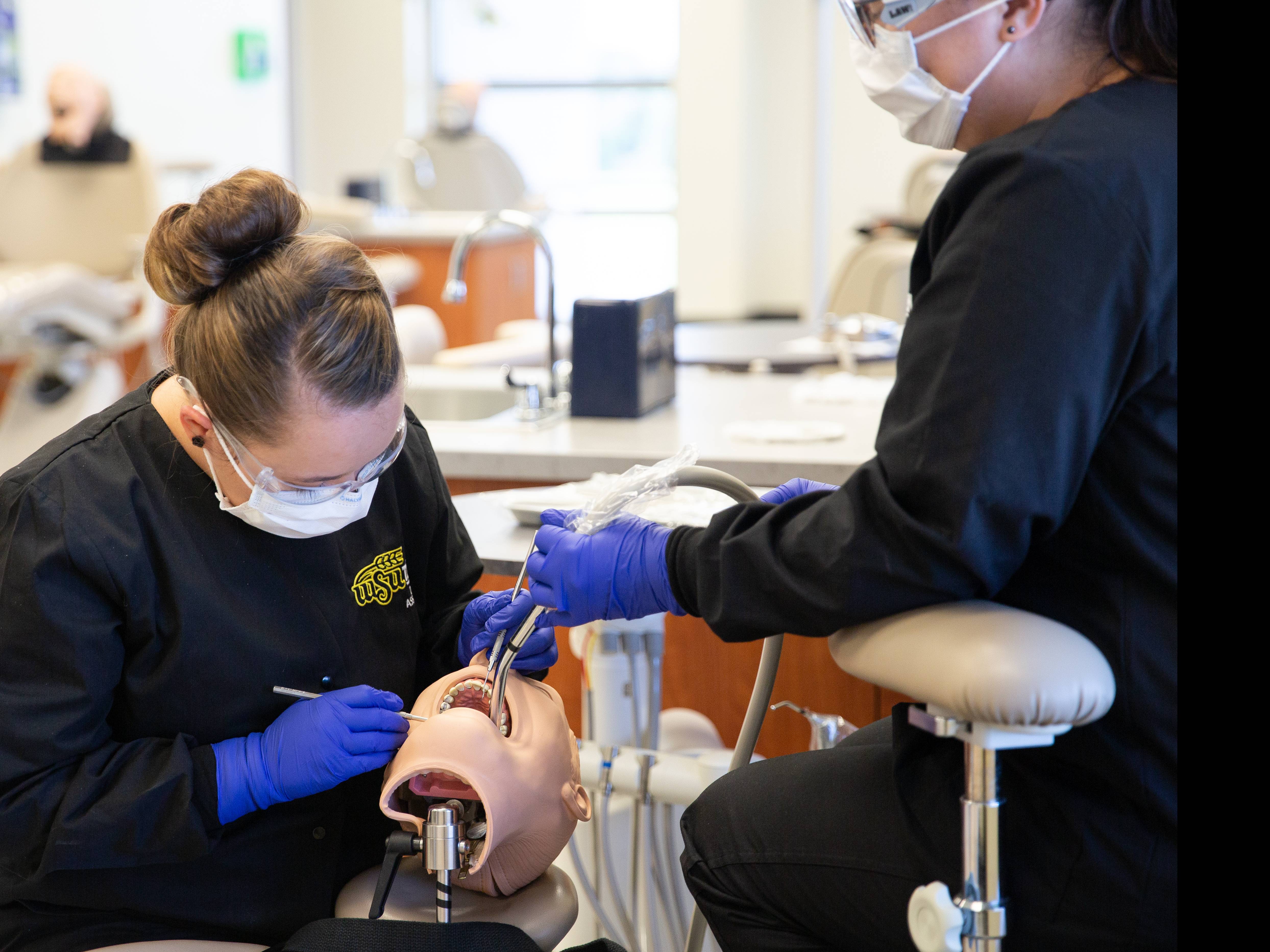 WSU Tech Dental Assistant students