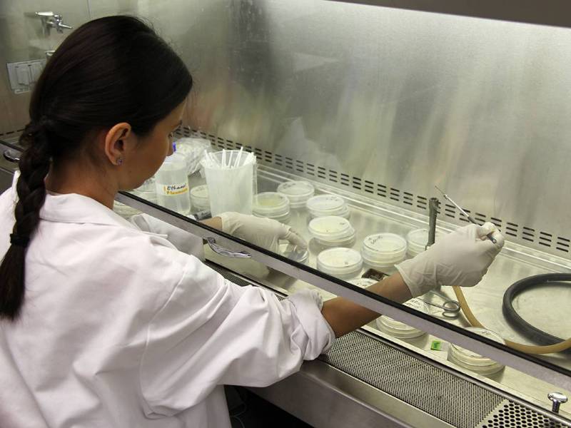 A woman working in a lab