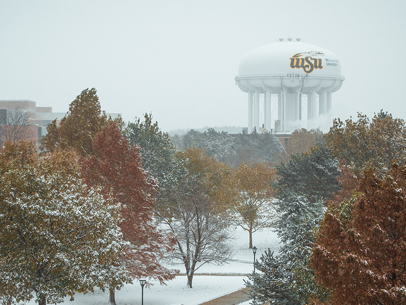 Wichita State University