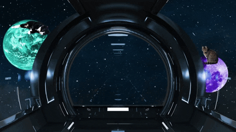 Cats in space gif