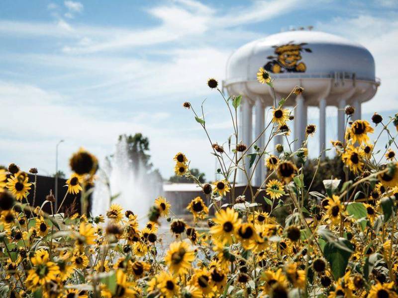 Wichita State campus