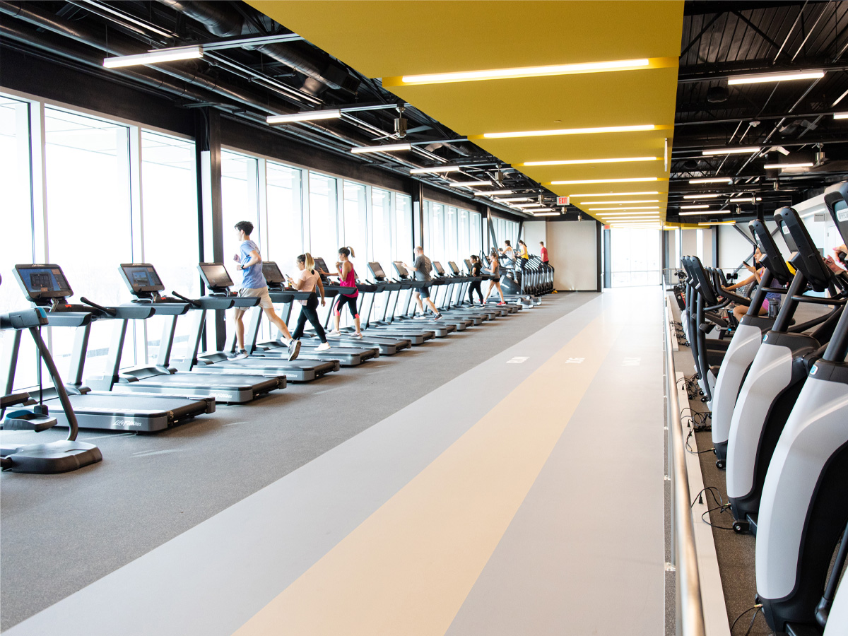 Cardio concourse at the Steve Clark YMCA, showing banks of treadmills and eliptical machines. Cardio concourse at the Steve Clark YMCA, showing banks of treadmills and eliptical machines.