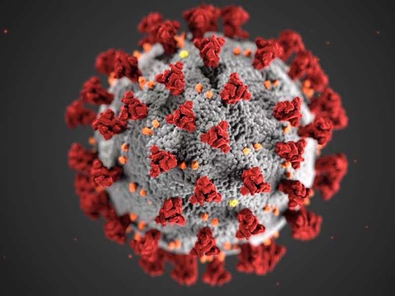 COVID virus graphic