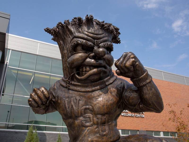 WuShock sculpture