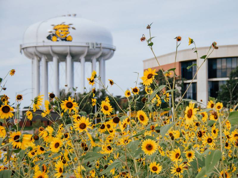 Wichita State campus with water tower and sunflowers