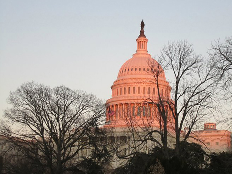 DC Capitol