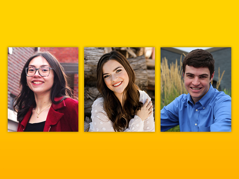 Graphic of Gore Scholars