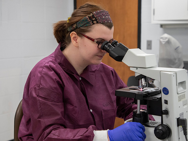 MLS student looking into microscope