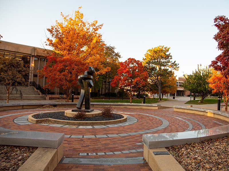 Wichita State University