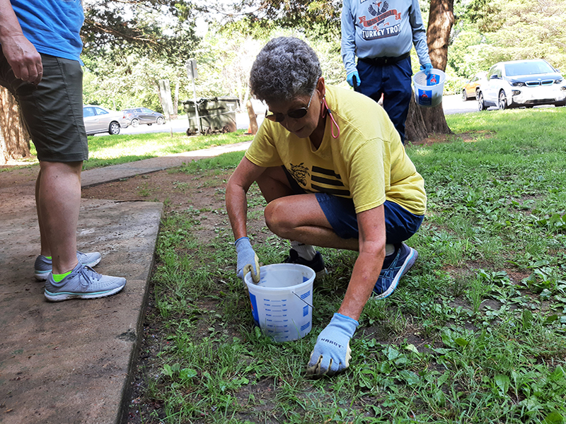 Volunteers collect litter at a Wichita park.