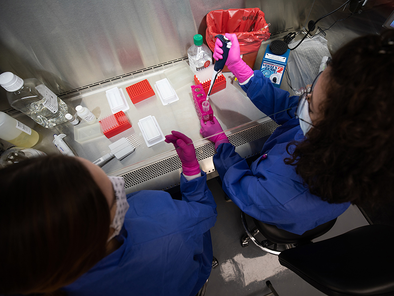 Researchers at Wichita State University's Molecular Diagnostics Lab test a specimen.