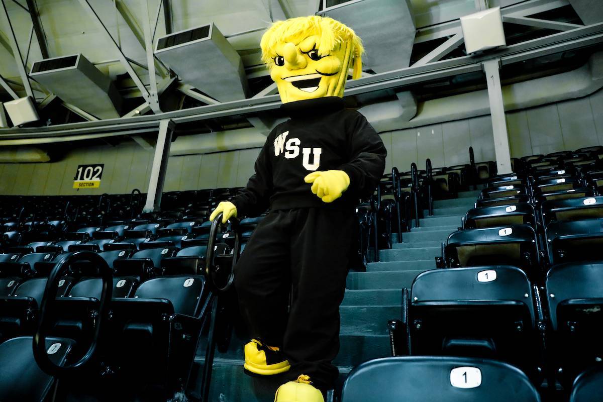 Handrails in Charles Koch Arena