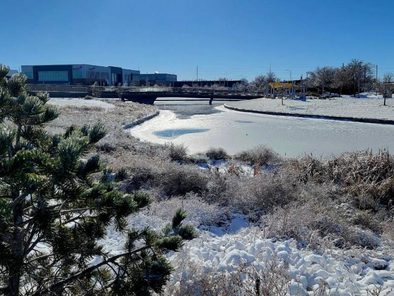 Snowy campus