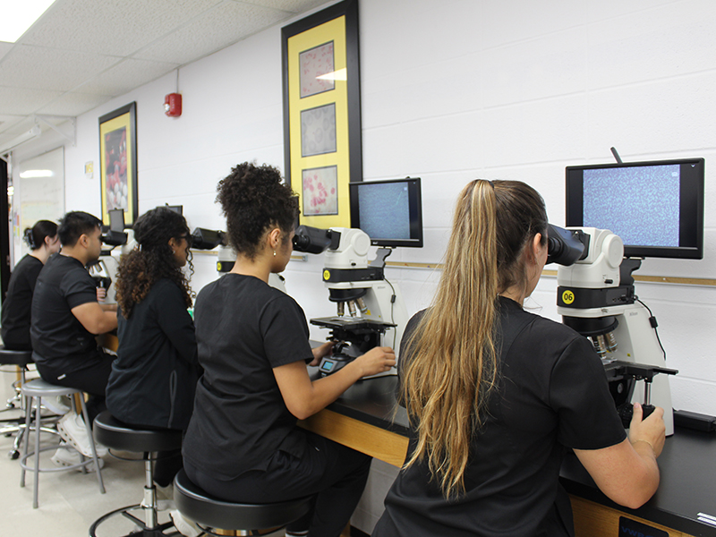 Medical Laboratory Sciences students using new microscopes