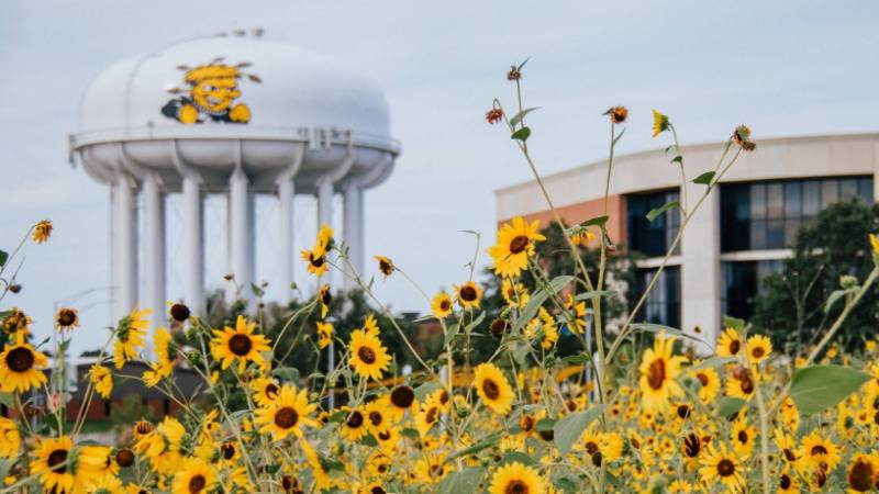 Wichita State University water tower and sunflowers