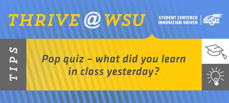 SEM Tip for Feb. 18, 2019