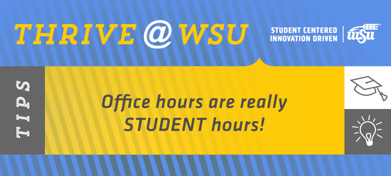SEM Tip for Feb. 25, 2019