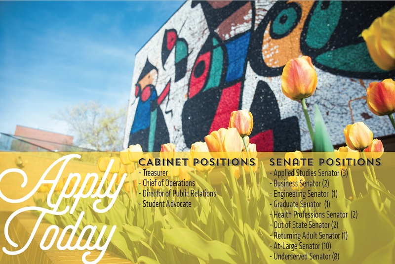 SGA cabinet openings 2019