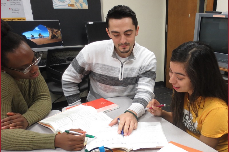 Peer tutor