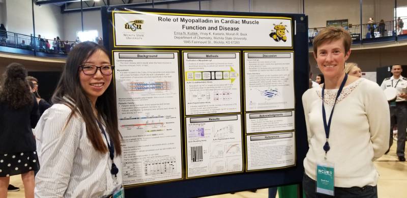 First-Year Research Experience STEM 