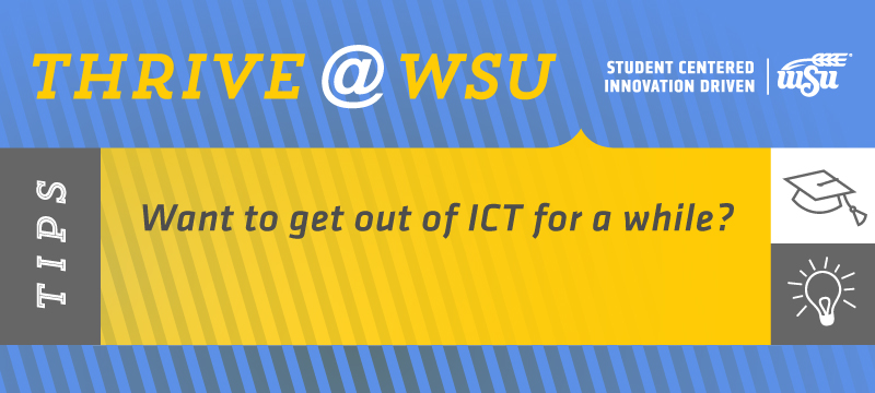 SEM tip for Oct. 16, 2019