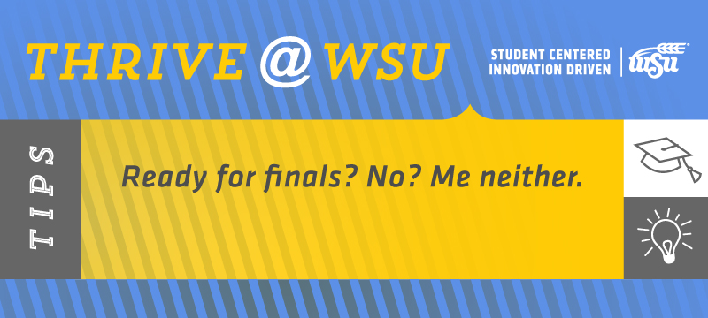 SEM Tip Nov. 18, 2019