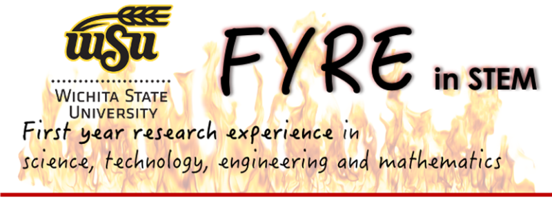 FYRE in STEM program