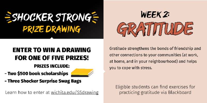 Shocker Strong book scholarship