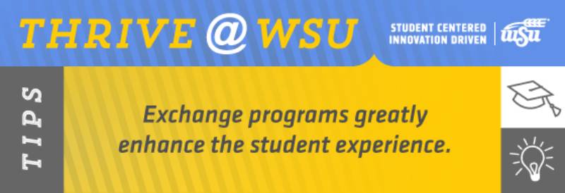 SEM Tip for Oct. 26