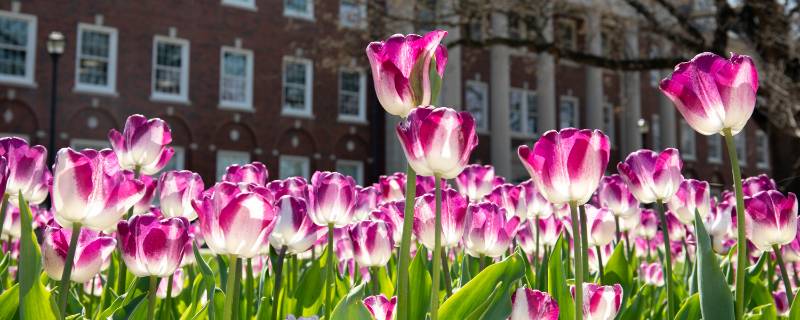 Student talks about registering for spring classes