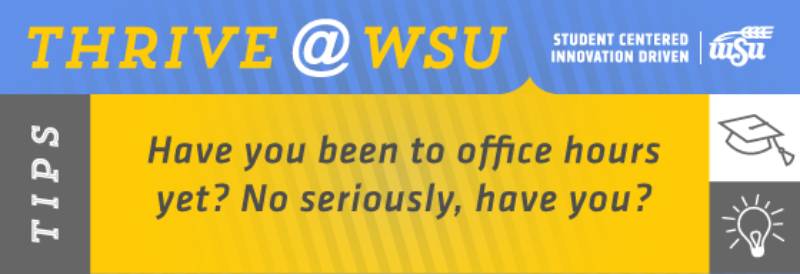 Have you been to office hours yet? No seriously, have you?