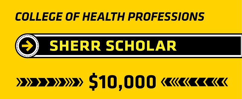 Sherr Scholarship