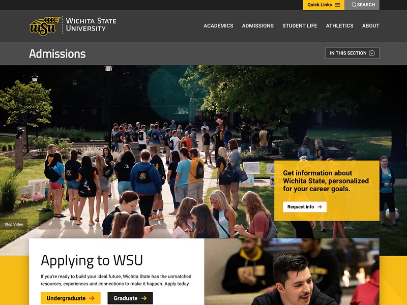 website image