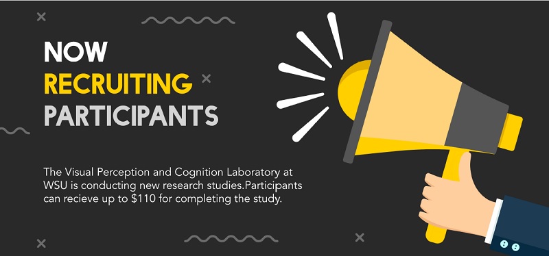 Visual Training study