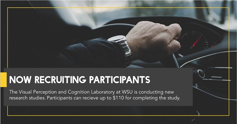 Visual training study